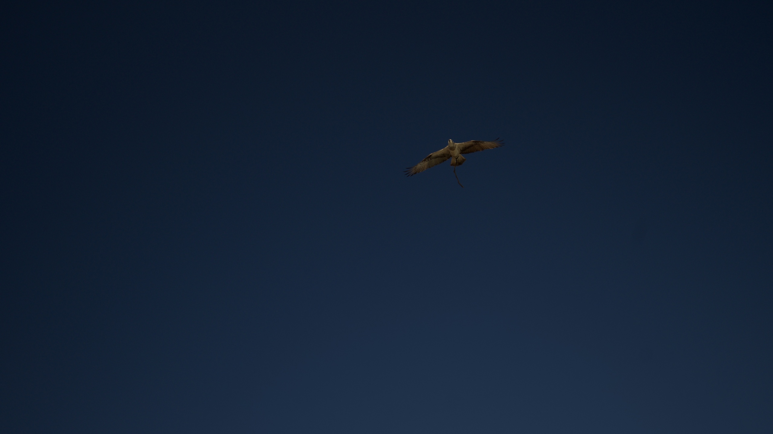 Kingscliff f/5.6 1/500